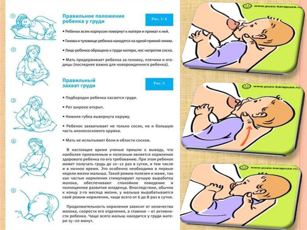 Как правильно и часто кормить новорожденного грудью: полное руководство