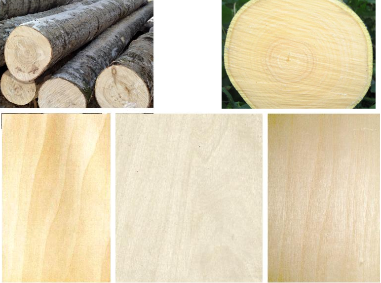 Виды древесина: Виды древесины