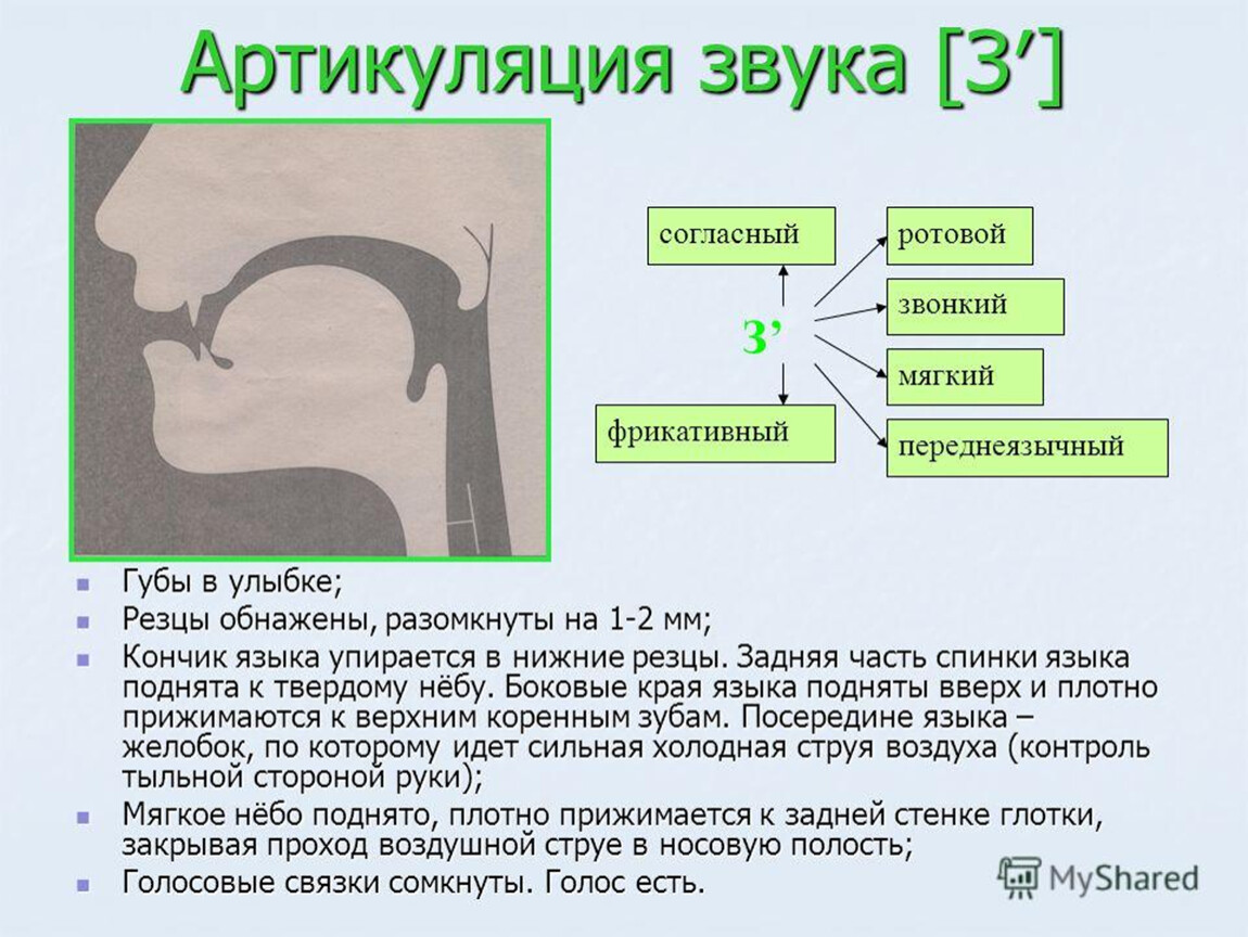 Подробное руководство по постановке звука Й: от артикуляции до автоматизации