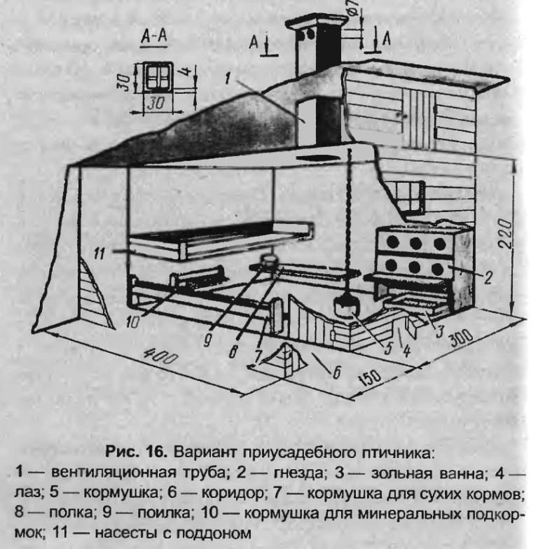 Размер курятника на 15 кур: Курятник на 15 кур