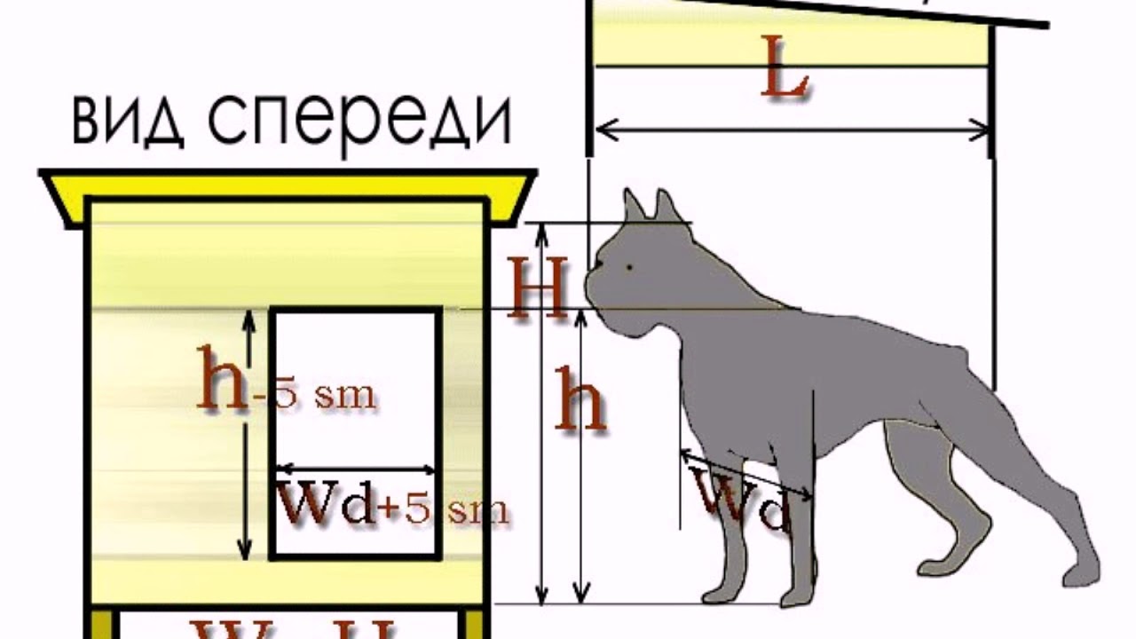 Вольер для собак своими руками чертежи: Page not found - bouw.ru