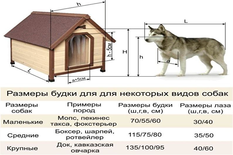 Вольер для собак своими руками чертежи: Page not found - bouw.ru