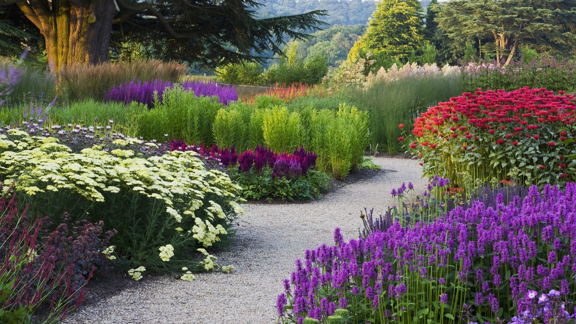 Цветы для огорода многолетние: Многолетние цветы для дачи. Каталог цветов, фото с названиями и кратким описанием