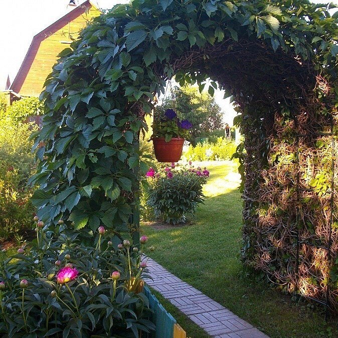 Декоративные арки для сада: Арки садовые и шпалеры для растений купить недорого в ОБИ, выгодные цены