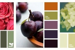 Оливковый сочетание цветов: оттенки, таблицы сочетания, подбор одежды фото