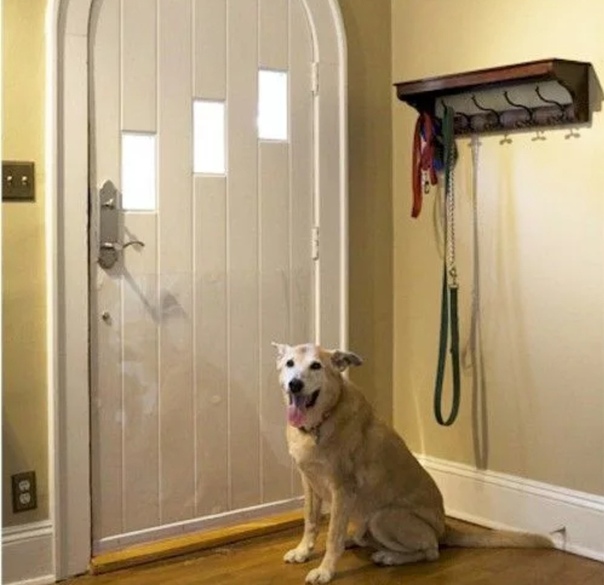 Перегородки для собак в квартиру: Доступ с вашего IP-адреса временно ограничен — Авито