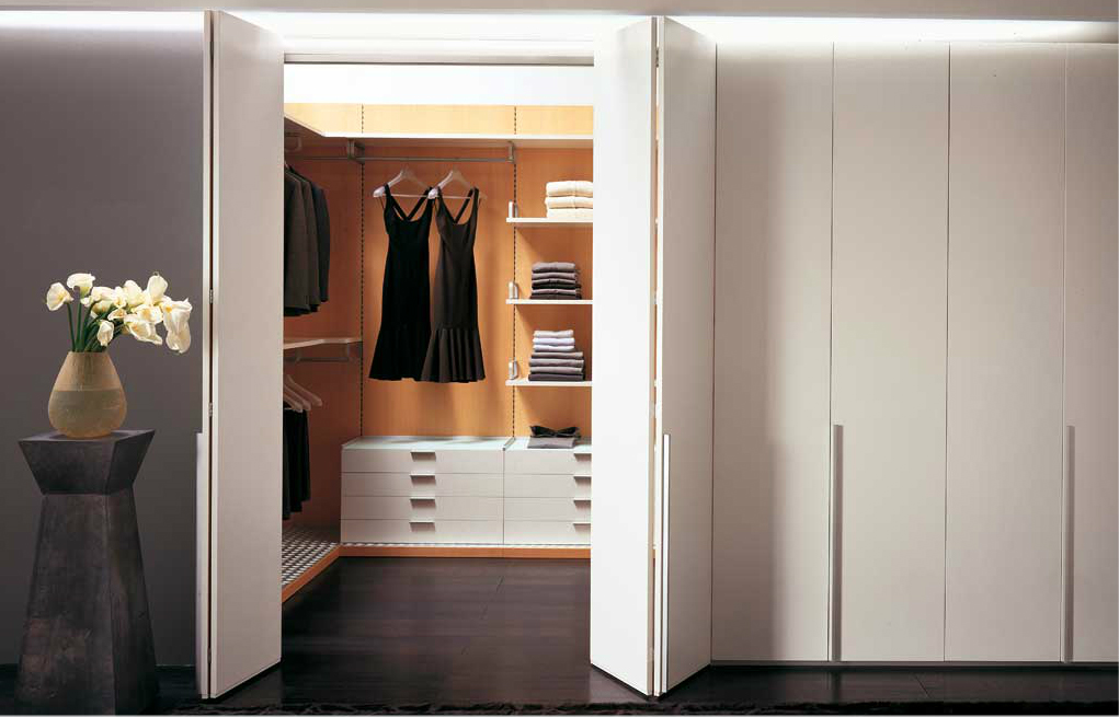 Двери распашные для гардеробной: Распашные двери для гардеробной купить в интернет-магазине. Широкий модельный ряд, помощь в выборе, доставка и установка