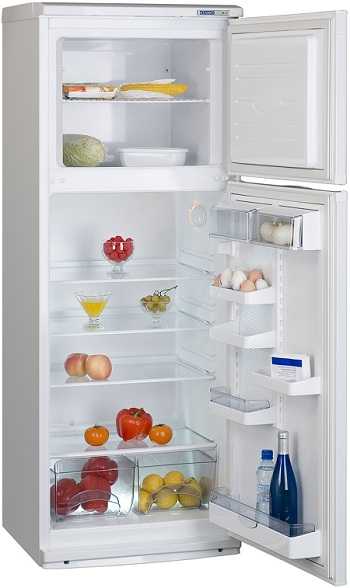 10 лучших холодильников для дома – лучшие производители по качеству и надежности, топ бюджетных, какой марки долговечный и оптимальный, какой более тихий, какой приличный, говорит эксперт, отзывы, видео