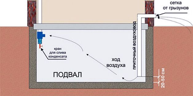Как должна работать вытяжка в подвале – Вентиляция в погребе: как правильно сделать вытяжку
