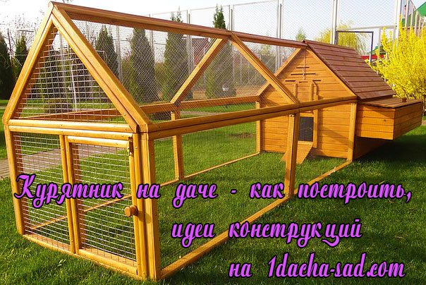 Строим курятник зимний – Как построить зимний курятник своими руками на 20 кур: следуем простой инструкции в постройке птичника: практические советы, чертежи, рекомендации