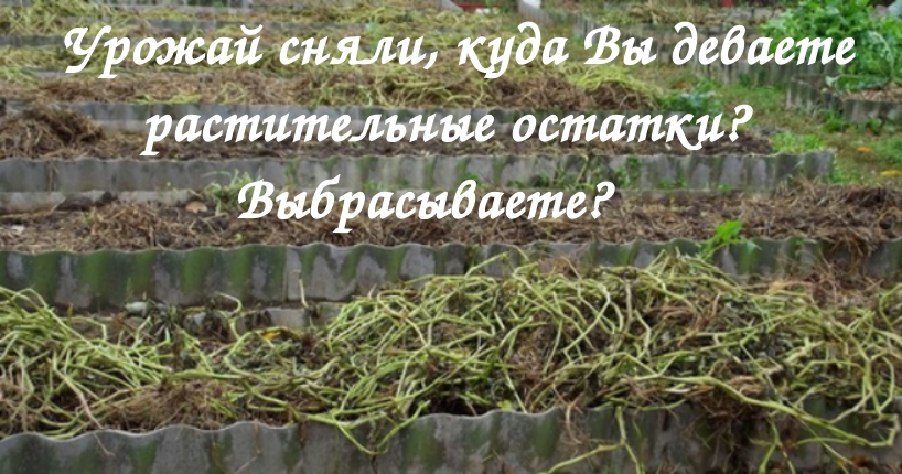 Как сделать грядки в зиму – Уральский огород - без особых хлопот!: ОСЕНЬ, ПОДГОТОВКА ОГОРОДА К ЗИМЕ И ПОДЗИМНИЕ ПОСЕВЫ!