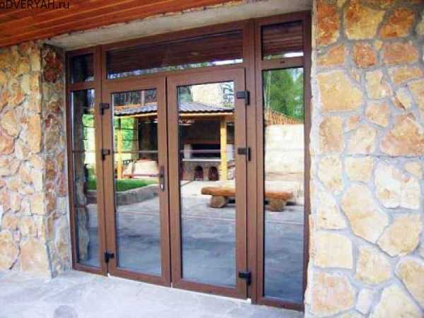 Алюминиевые двери входные для частного дома – глухие теплые входные двери из алюминиевого профиля для частного дома, конструкции со стеклом, распашные системы открывания