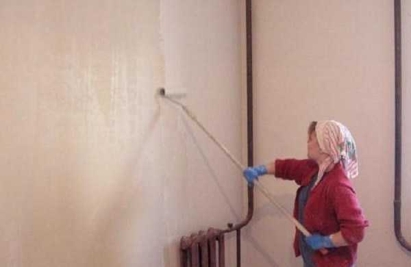 Антибактериальная грунтовка для стен – составы от плесени и грибка на стенах, противогрибковая грунтовка по бетону, антиплесень для ванной комнаты