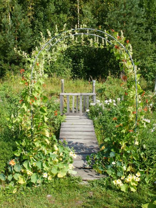 Арки для цветов на даче фото – Садовая арка для вьющихся растений, винограда, роз и других цветов на даче своими руками: пошаговая инструкция с фото