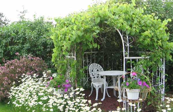 Беседка ажурная – ажурные садовые изделия с мангалом, эксклюзивные модели с ковкой, как оформить просто и красиво