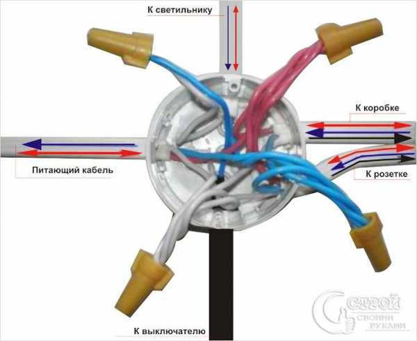 Чем лучше соединять провода в распределительной коробке – Как правильно соединить провода в распределительной коробке: способы и схемы подключения