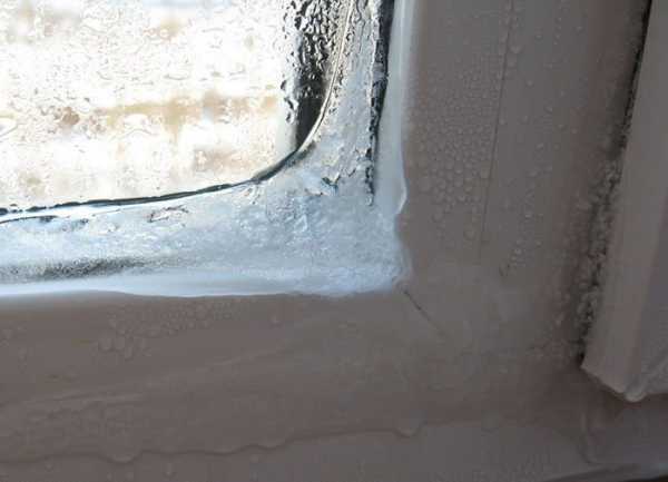 Что делать потеют окна – Если сильно потеют пластиковые окна внутри, что делать, чтобы окна не потели, народные средства