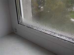 Что делать потеют окна – Если сильно потеют пластиковые окна внутри, что делать, чтобы окна не потели, народные средства
