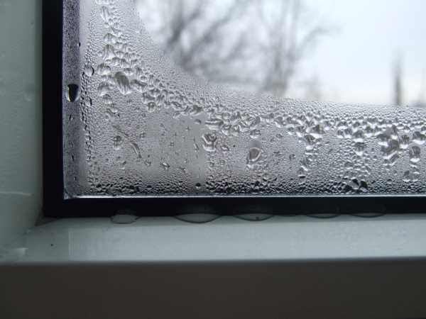 Чтобы не запотевали окна в доме – Что сделать, чтобы окна не замерзали и не запотевали в доме? | Пластиковые окна со скидками | Купить окна ПВХ