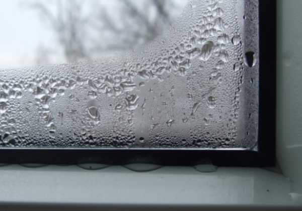 Чтобы не запотевали окна в доме – Что сделать, чтобы окна не замерзали и не запотевали в доме? | Пластиковые окна со скидками | Купить окна ПВХ