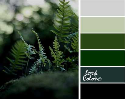 Цвет бежево зеленый – Бежевый цвет в интерьере: сочетание с другими цветами