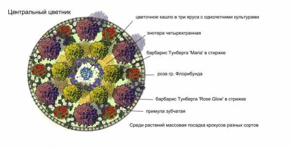 Цветники на даче своими руками для начинающих фото пошагово – Цветник на даче для начинающих + фото