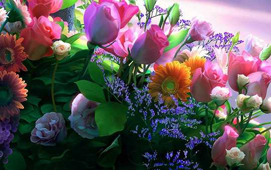 Цветок фото – Фото цветов | Про-ЦВЕТЫ.рф - фото цветов и букетов, стихи и загадки про цветы, цитаты и афоризмы