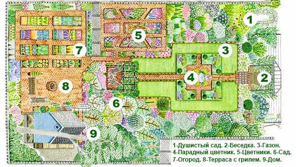 Цветы на огороде фото – Многолетние цветы для дачи. Каталог цветов, фото с названиями и кратким описанием