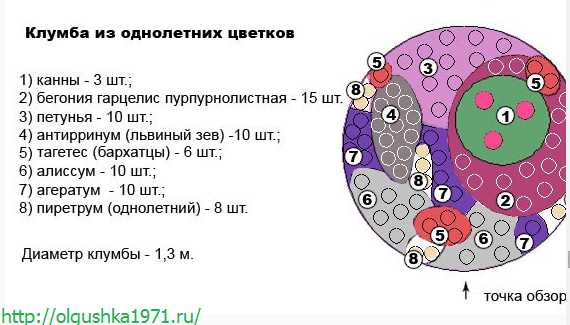 Цветы однолетние каталог с фотографиями и названиями – Однолетние цветы, цветущие все лето — название и фото — лучшие варианты