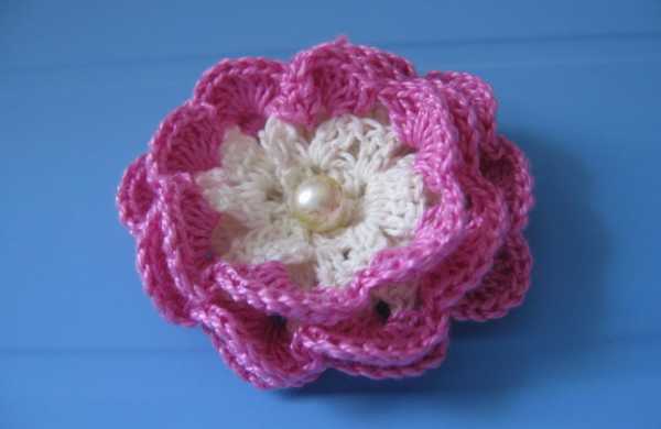Цветы шапками – Гортензия – воздушный цветок, имеющий разноцветные «шапки»