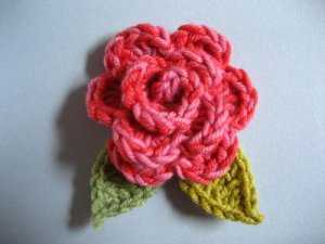 Цветы шапками – Гортензия – воздушный цветок, имеющий разноцветные «шапки»