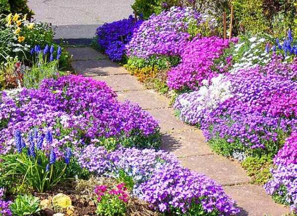 Цветы уличные высокие – Высокорослые многолетники для сада. Популярные сорта, краткие описания, особенности выращивания, фото и видео.