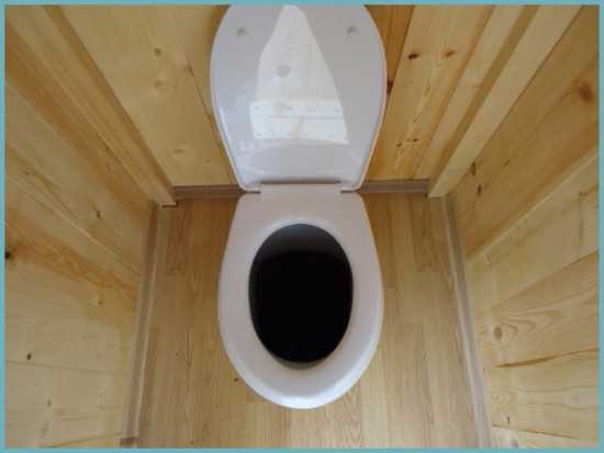 Дачный унитаз для уличного туалета – керамическая конструкция для уличного туалета, прямое изделие для дачи на выгребную яму, садовый унитаз бренда «Оскольская Керамика»