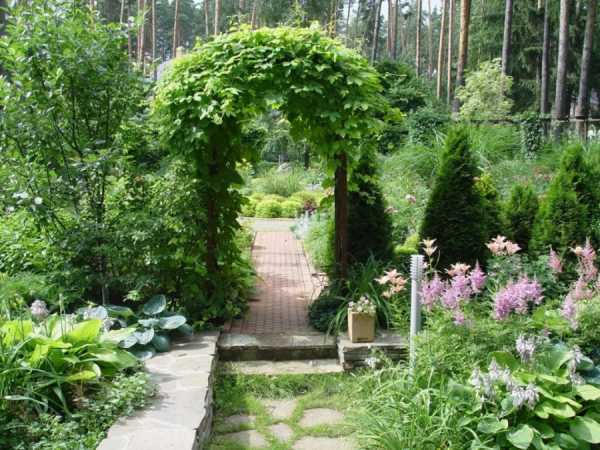Декоративный сад на маленьком участке – 15 больших идей для маленького сада
