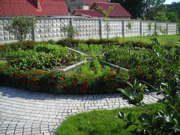 Дизайн огорода частного дома фото современных дворов – современные красивые дворики с беседкой и проекты ландшафта придомовых территорий