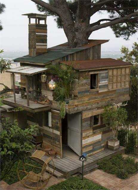 Дом внутри дерева – как оформить внутри жилище из бревна, дизайн бревенчатого оцилиндрованного коттеджа, создание обстановки в светлых тонах