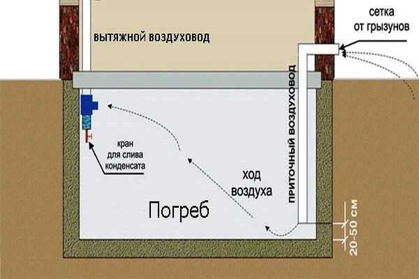 Домашний погреб – устройство, пошаговое руководство по возведению