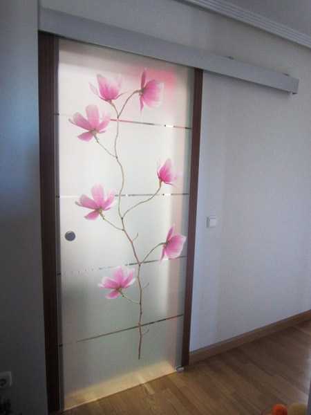 Дверь с матовым стеклом межкомнатная – раздвижные, распашные, матовые (50 фото разных моделей)