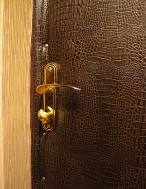 Дверь утепленная деревянная входная – Дверь металлическая уличная входная утепленная | Двери деревянные, пластиковые, входные, межкомнатные, раздвижные