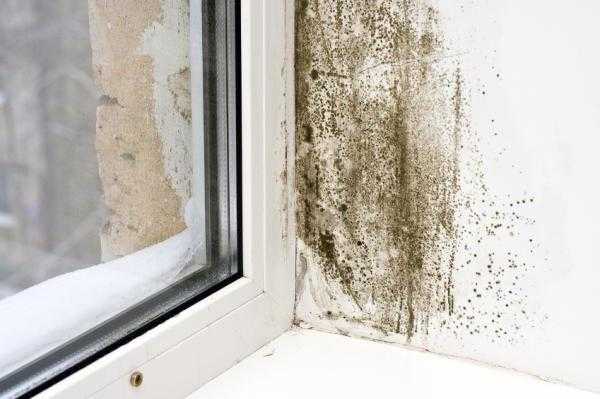 Если в квартире влажный воздух – причины и способы снизить влажность в помещении