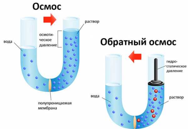 Фильтры для воды из колодца на даче – разновидности, характеристики и .