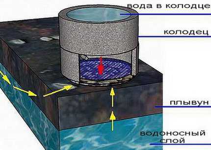 Фильтры для воды из колодца на даче – разновидности, характеристики и принцип работы