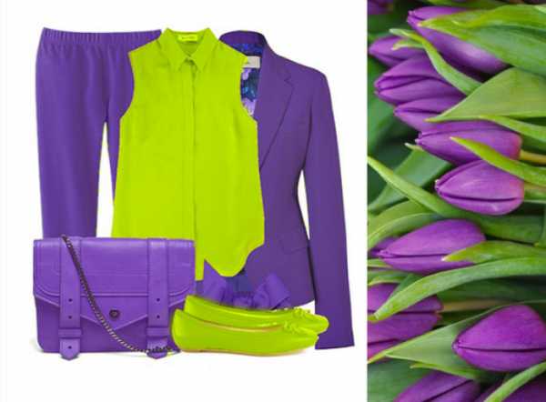 Фиолетовый сочетание цветов – сочетание с другими цветами в интерьере