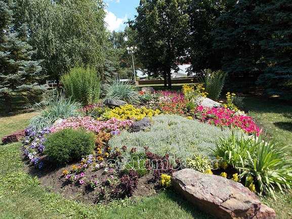 Фото красивый участок на даче – красивое ландшафтное оформление сада и огорода, как облагородить цветами участок в 15 соток