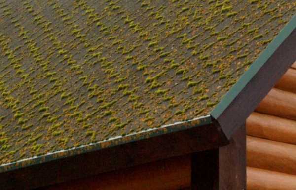 Фото крыша мягкая кровля – 60 фото крыш красивых домов