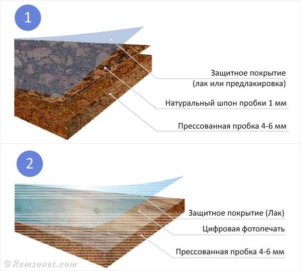 Фото пол из пробки – Пробковый пол (45 фото): плюсы и минусы, как выбрать покрытие