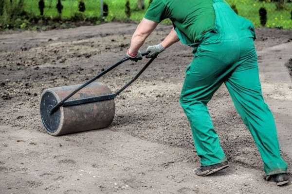 Газонная трава как сажать и ухаживать – Газонная трава как сажать и ухаживать. Подготовка удобрение почвы