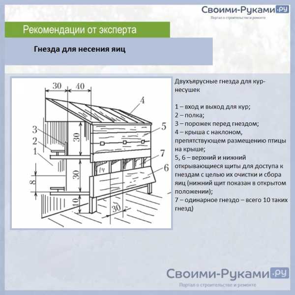 Гнездо для кур несушек своими руками размеры чертежи – чертежи и пошаговая инструкция по изготовлению!