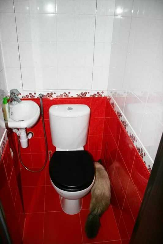 Идеи для туалетной комнаты – Ремонт туалетрой комнаты 48 ФОТО! Дизайн туалетрой комнаты маленького размера