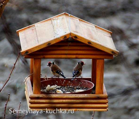 Из чего сделать кормушку для птиц своими руками – Кормушки для птиц своими руками: материалы для создания кормушек, виды кормушек, места развешивания кормушек, идеальное время прикорма птиц, полезный и вредный корм